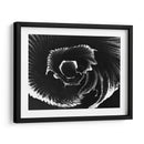 Flor - Rodrigo Barrera | Cuadro decorativo de Canvas Lab