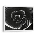 Flor - Rodrigo Barrera | Cuadro decorativo de Canvas Lab