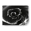 Flor - Rodrigo Barrera | Cuadro decorativo de Canvas Lab