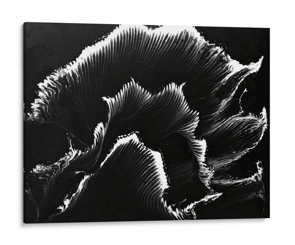 Florecer - Rodrigo Barrera | Cuadro decorativo de Canvas Lab