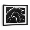 Florecer - Rodrigo Barrera | Cuadro decorativo de Canvas Lab