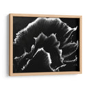 Florecer - Rodrigo Barrera | Cuadro decorativo de Canvas Lab