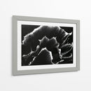 Florecer - Rodrigo Barrera | Cuadro decorativo de Canvas Lab