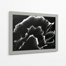 Florecer - Rodrigo Barrera | Cuadro decorativo de Canvas Lab