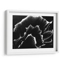 Florecer - Rodrigo Barrera | Cuadro decorativo de Canvas Lab