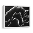 Florecer - Rodrigo Barrera | Cuadro decorativo de Canvas Lab