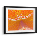 Ilusión - Rodrigo Barrera | Cuadro decorativo de Canvas Lab