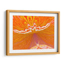 Ilusión - Rodrigo Barrera | Cuadro decorativo de Canvas Lab