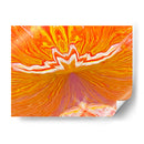 Ilusión - Rodrigo Barrera | Cuadro decorativo de Canvas Lab