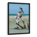 Pelícanos XII - Jaime López Portillo  | Cuadro decorativo de Canvas Lab