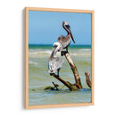 Pelícanos XII - Jaime López Portillo  | Cuadro decorativo de Canvas Lab