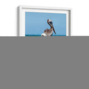 Pelícanos XII - Jaime López Portillo  | Cuadro decorativo de Canvas Lab