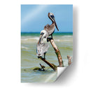 Pelícanos XII - Jaime López Portillo  | Cuadro decorativo de Canvas Lab