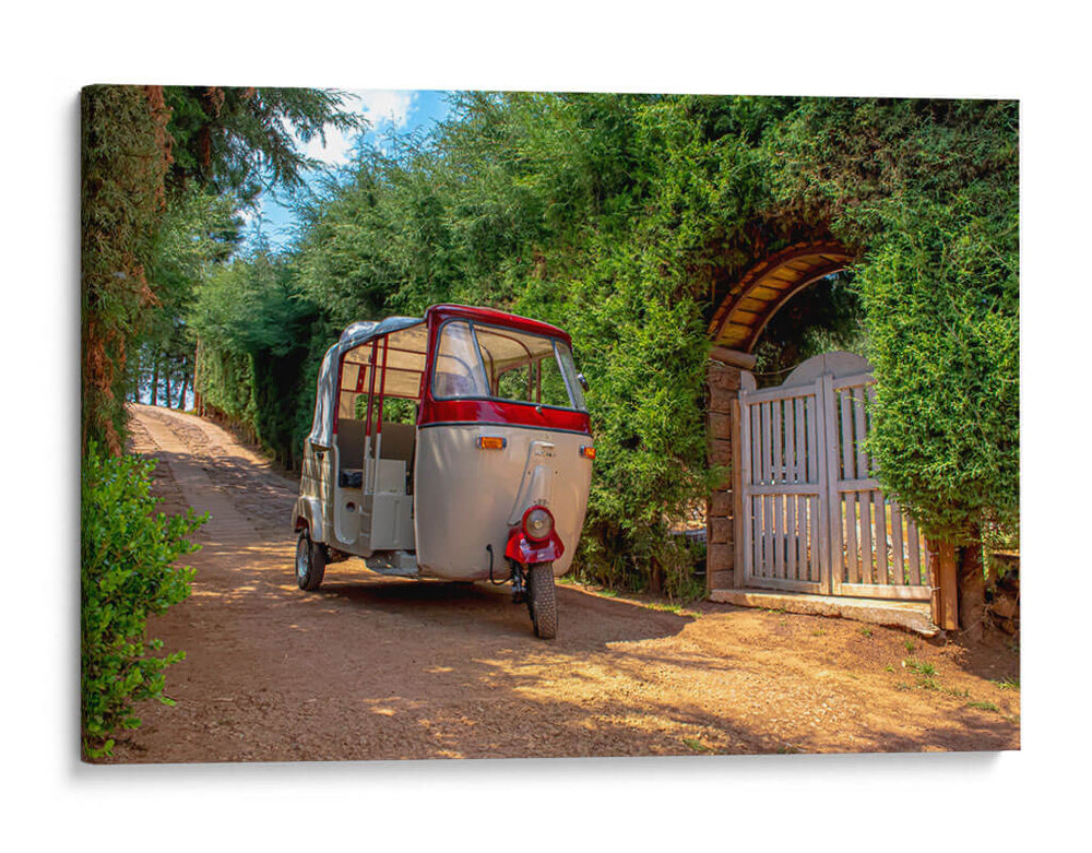 Campestre - Manlio.HV | Cuadro decorativo de Canvas Lab