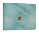 Una estrella de mar | Cuadro decorativo de Canvas Lab