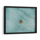 Una estrella de mar | Cuadro decorativo de Canvas Lab
