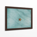 Una estrella de mar | Cuadro decorativo de Canvas Lab