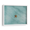 Una estrella de mar | Cuadro decorativo de Canvas Lab