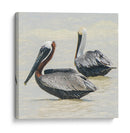 Pelícanos XI - Jaime López Portillo  | Cuadro decorativo de Canvas Lab