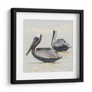 Pelícanos XI - Jaime López Portillo  | Cuadro decorativo de Canvas Lab