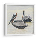 Pelícanos XI - Jaime López Portillo  | Cuadro decorativo de Canvas Lab