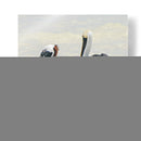 Pelícanos XI - Jaime López Portillo  | Cuadro decorativo de Canvas Lab