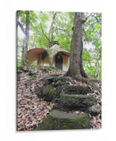 Bosque - Hugo Segura | Cuadro decorativo de Canvas Lab