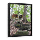 Bosque - Hugo Segura | Cuadro decorativo de Canvas Lab