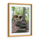 Bosque - Hugo Segura | Cuadro decorativo de Canvas Lab