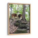 Bosque - Hugo Segura | Cuadro decorativo de Canvas Lab