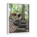 Bosque - Hugo Segura | Cuadro decorativo de Canvas Lab