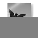 Angel  - Hugo Segura | Cuadro decorativo de Canvas Lab