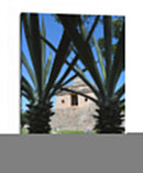 Ancestral - Hugo Segura | Cuadro decorativo de Canvas Lab