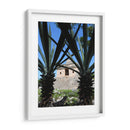 Ancestral - Hugo Segura | Cuadro decorativo de Canvas Lab