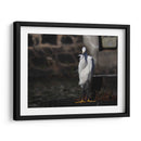 Traje blanco - Hugo Segura | Cuadro decorativo de Canvas Lab