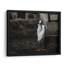 Traje blanco - Hugo Segura | Cuadro decorativo de Canvas Lab