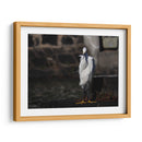 Traje blanco - Hugo Segura | Cuadro decorativo de Canvas Lab