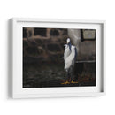 Traje blanco - Hugo Segura | Cuadro decorativo de Canvas Lab