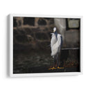 Traje blanco - Hugo Segura | Cuadro decorativo de Canvas Lab