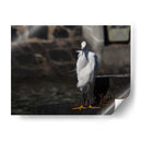 Traje blanco - Hugo Segura | Cuadro decorativo de Canvas Lab