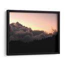 Algodón - Hugo Segura | Cuadro decorativo de Canvas Lab