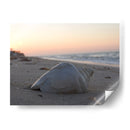 Mar - Hugo Segura | Cuadro decorativo de Canvas Lab