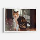 Mirada felina - KevOlveRod | Cuadro decorativo de Canvas Lab