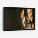 MIAU - KevOlveRod | Cuadro decorativo de Canvas Lab