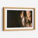 MIAU - KevOlveRod | Cuadro decorativo de Canvas Lab