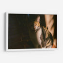 MIAU - KevOlveRod | Cuadro decorativo de Canvas Lab