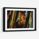 Mirada ecuestre - KevOlveRod | Cuadro decorativo de Canvas Lab