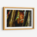 Mirada ecuestre - KevOlveRod | Cuadro decorativo de Canvas Lab