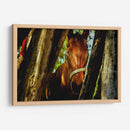Mirada ecuestre - KevOlveRod | Cuadro decorativo de Canvas Lab