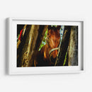 Mirada ecuestre - KevOlveRod | Cuadro decorativo de Canvas Lab